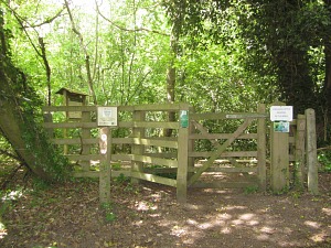 The start of the Great Eastern Pingo Trail The start of the Great Eastern Pingo Trail