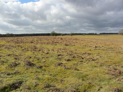 Brettenham Heath managed by Natural England Brettenham Heath managed by Natural England