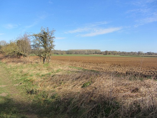 Norfolk's open countryside along the Peddars Way Norfolk's open countryside along the Peddars Way