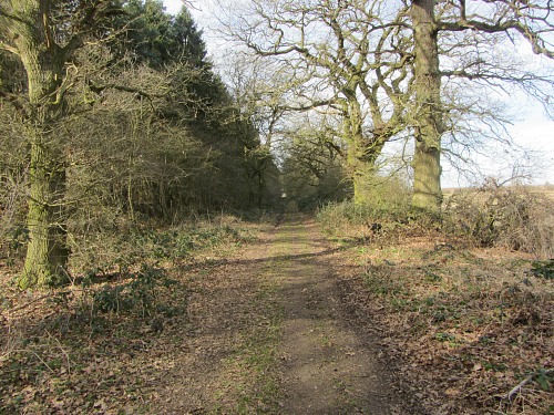 Peddars Way just before Swaffham Peddars Way just before Swaffham