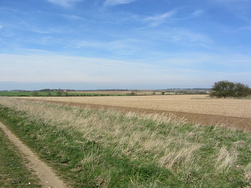 The open landscape along the Peddars Way The open landscape along the Peddars Way