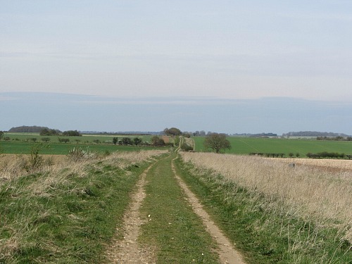 The arrow straight Roman Roads on the Peddars Way Norfolk The arrow straight Roman Roads on the Peddars Way Norfolk