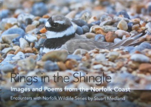 Rings in the Shingle Norfolk Wildlife Book