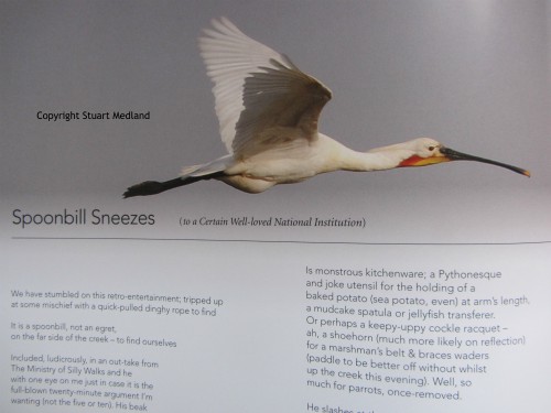 Worshipful Companies feature the Spoonbills
