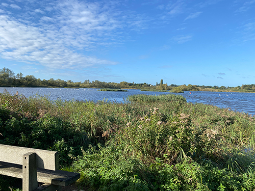 Walks in the Broads Walks in the Broads