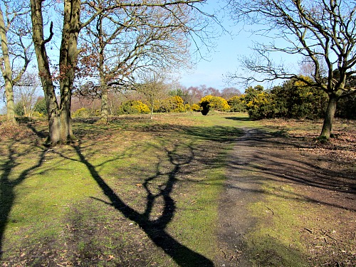 The heath at the Roman Camp