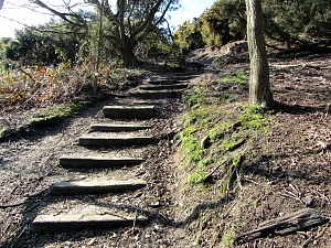 Steps up to Incleborough Hill - well worth the detour Steps up to Incleborough Hill - well worth the detour