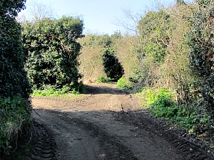 The narrow path you walk along at Manor Farm The narrow path you walk along at Manor Farm