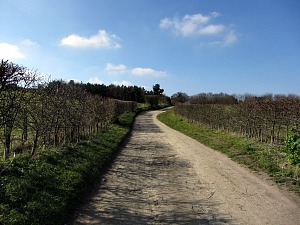 A pleasant and quiet track as you leave Cromer A pleasant and quiet track as you leave Cromer