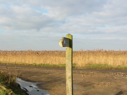 Norfolk Wildlife Trust's Cley Marshes