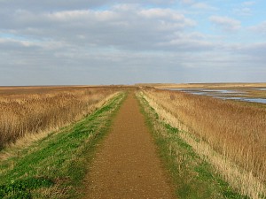 Cley Marshes sea wall