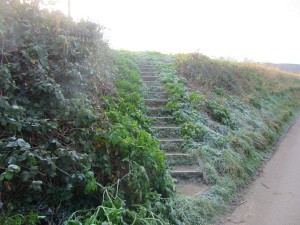 The steps to look out for in the bank just outside the village of Salthouse