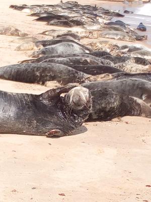 Hello, aren't I beautiful!