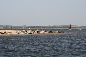 The Spit at Blakeney Point, Norfolk The Spit at Blakeney Point, Norfolk