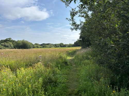 Sheringham and Beeston Regis Common