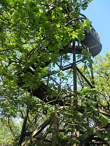 Viewing platform in Sheringham Park Viewing platform in Sheringham Park