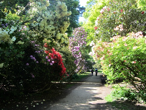 Sheringham Park, The Best View In Norfolk