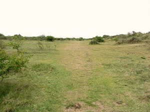 The Coastal Park from behind the sea wall