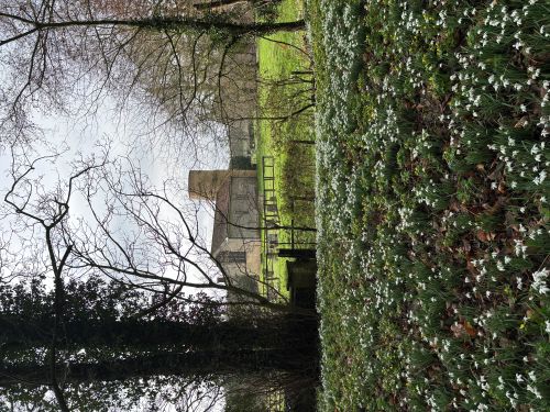 Snowdrops and the church at Lexham Hall Snowdrops and the church at Lexham Hall