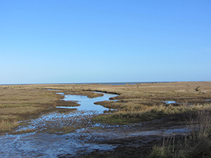 Stiffkey Marshes