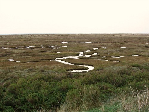 Stiffkey Marshes Stiffkey Marshes