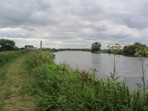 Strumpshaw Fen