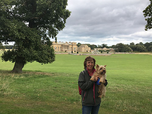 The Holkham Hall grounds are dog friendly