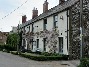 The Dabbling Duck, Great Massingham