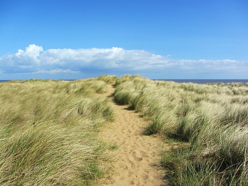 Vast expanse of sand dunes at Thornham beach