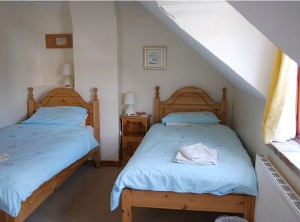 The twin room The twin room