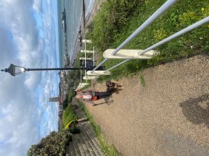 Ros and Flora Ros and Flora