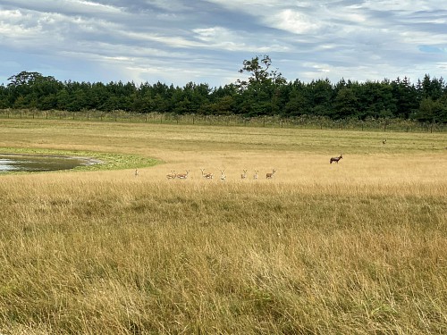 The 170 acres of conservation landscape at Watatunga The 170 acres of conservation landscape at Watatunga