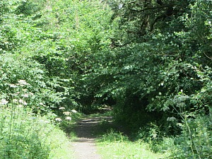 Entrance to Wayland Wood, Watton, Norfolk