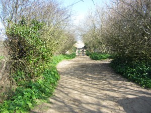 Waxham beach