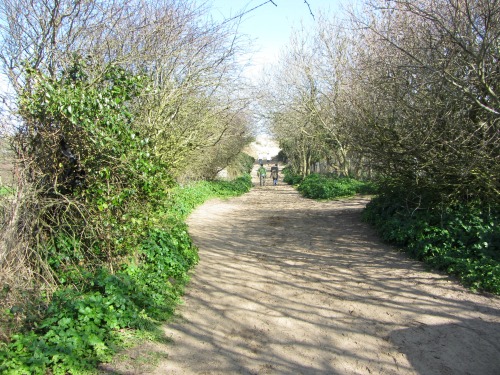 Approach to Waxham Beach
