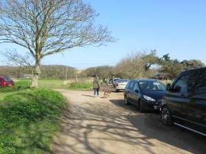 Dog walking at Waxham Beach