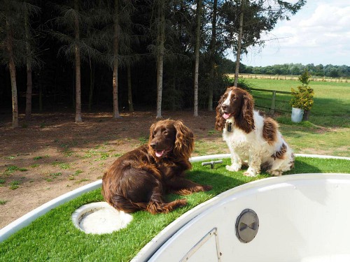 Dog friendly Woodland Boat