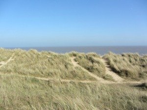 Winterton beach dunes Winterton beach dunes